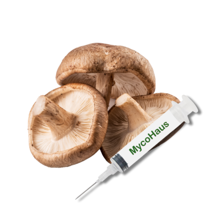 Shiitake Mushroom Liquid Culture Syringe - Lentinula Edodes